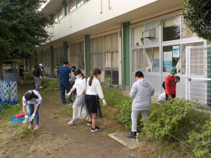 飼育栽培委員会