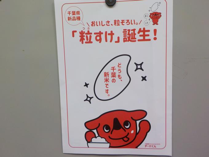 粒すけ