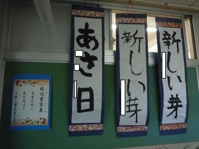 3・5年生