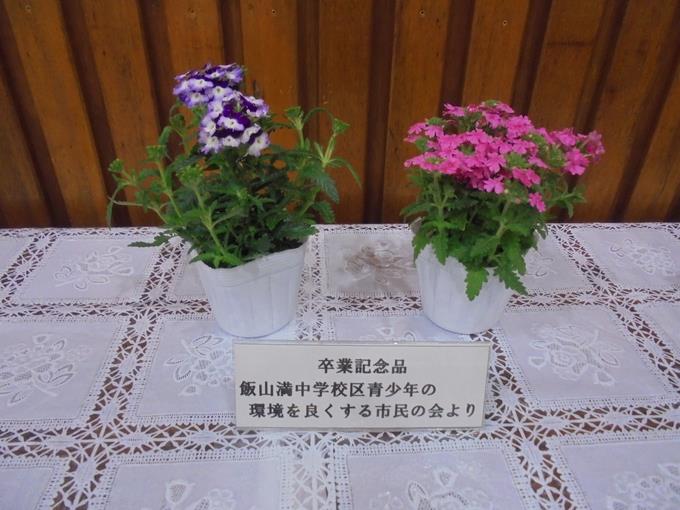 バーベナ