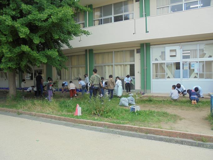 飼育・栽培委員会