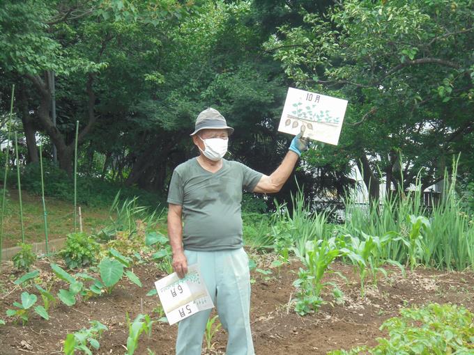 苗植え