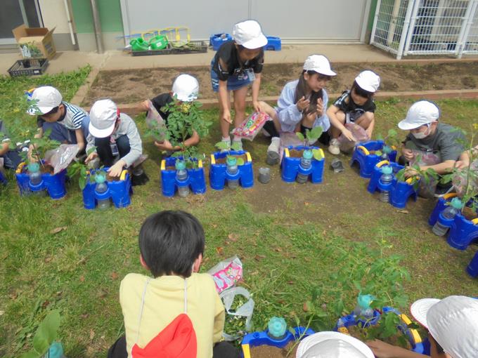 2年野菜の苗を植えよう