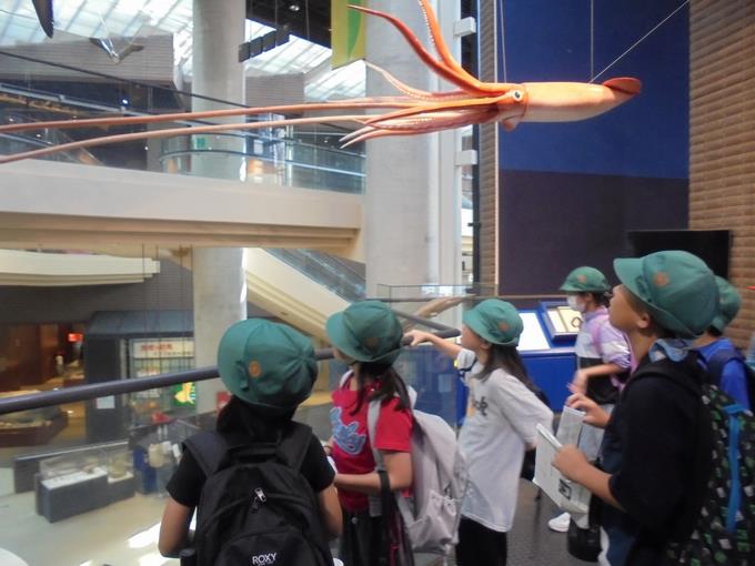 茨城県自然博物館