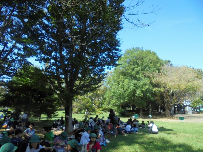 青空のもとでお弁当
