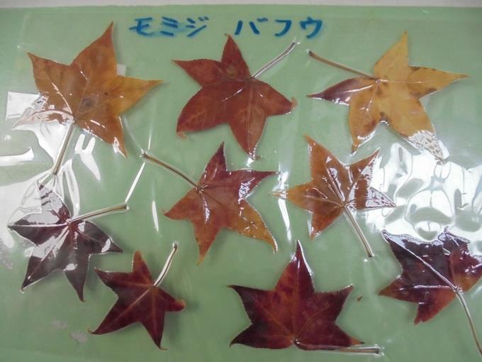 1年廊下の掲示物「紅葉」