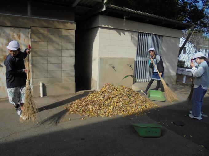 落ち葉掃きの様子