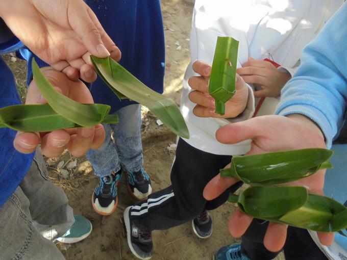 はさまの池で笹船づくり