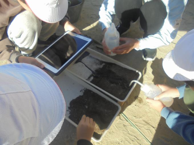 5年理科実験の様子