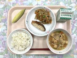 5月25日
