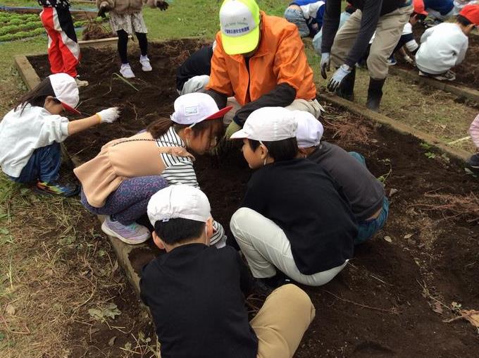 みんなで掘りました！