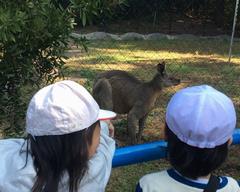 班ごとに見学しました。