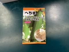 ヘチマ