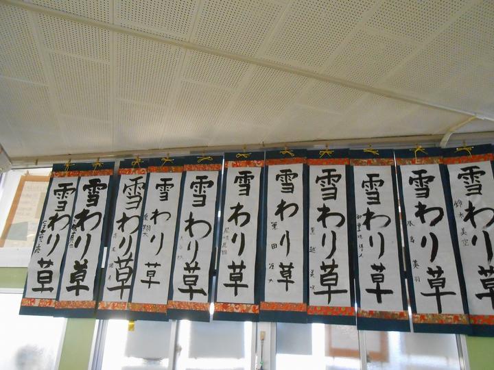 5年生