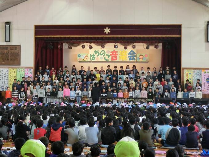 5年生