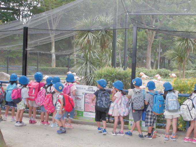千葉市動物公園での様子
