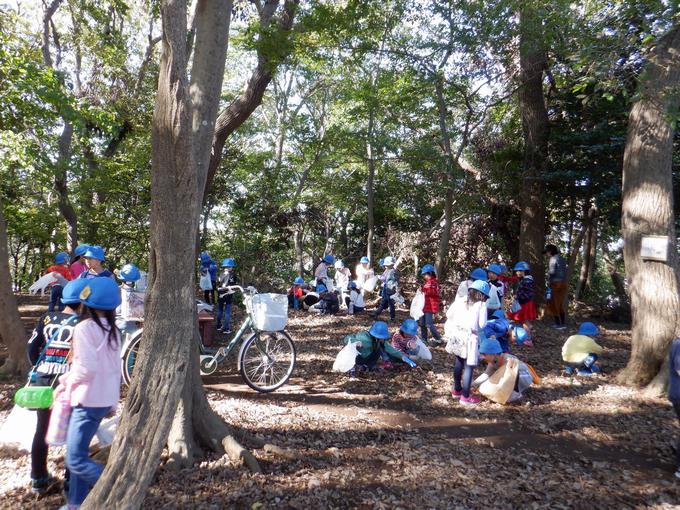 公園で活動する様子