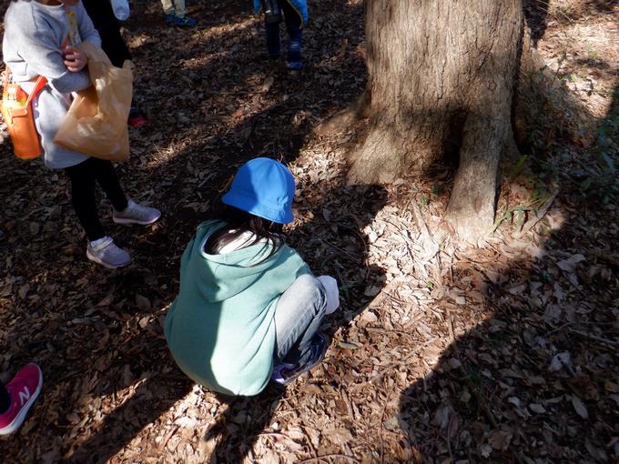 公園で活動する様子