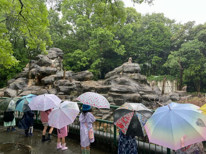 雨宿りしていた猿