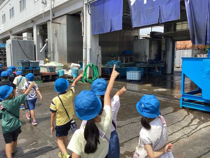 魚を解体するところです。