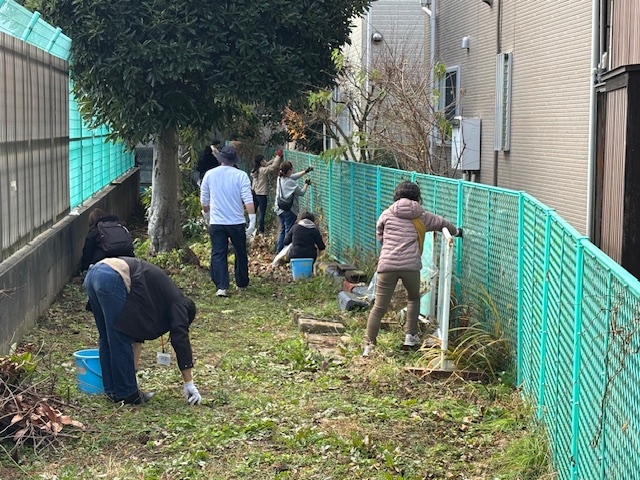 除草、瓦礫の撤去