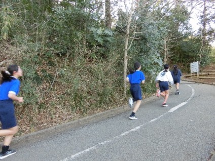 写真で見るよりも勾配がきついです。