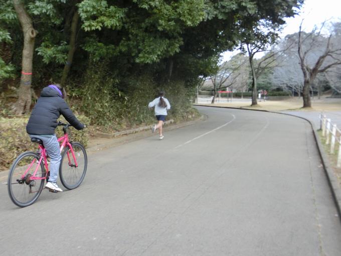 教員がペースを保ってくれています。