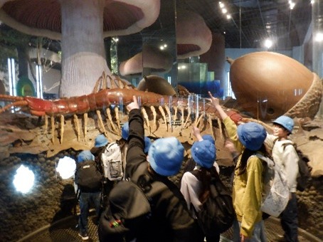 小さな生き物から見る世界