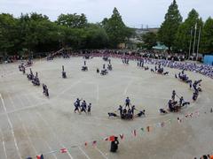 6年生