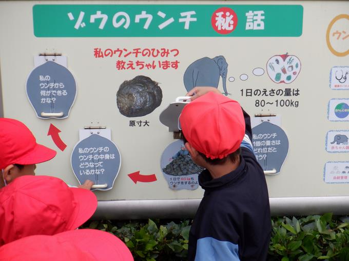 クイズに挑戦