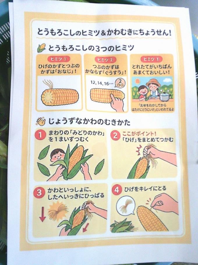 むき方