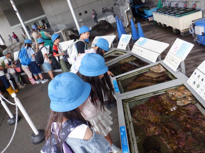 班で水族園の見学！