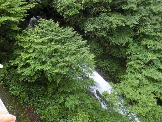 裏の方が水の流れが強かった。