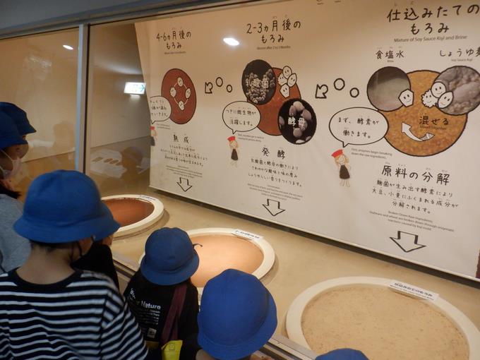 しょう油づくりを勉強しました