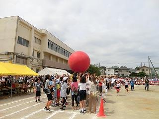 010601大玉赤