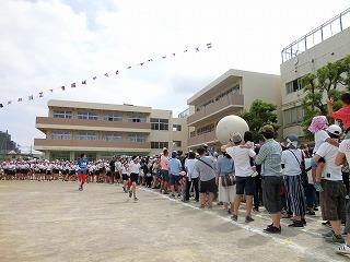 010601大玉白