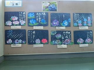 010625あじさい02
