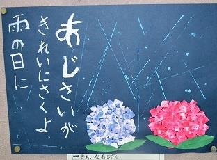 010625あじさい01