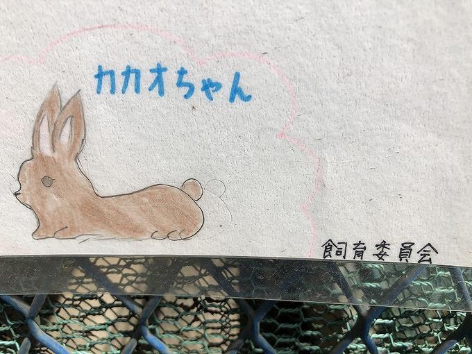 うさぎ2