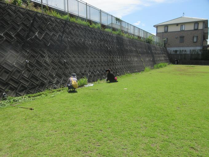 芝生広場