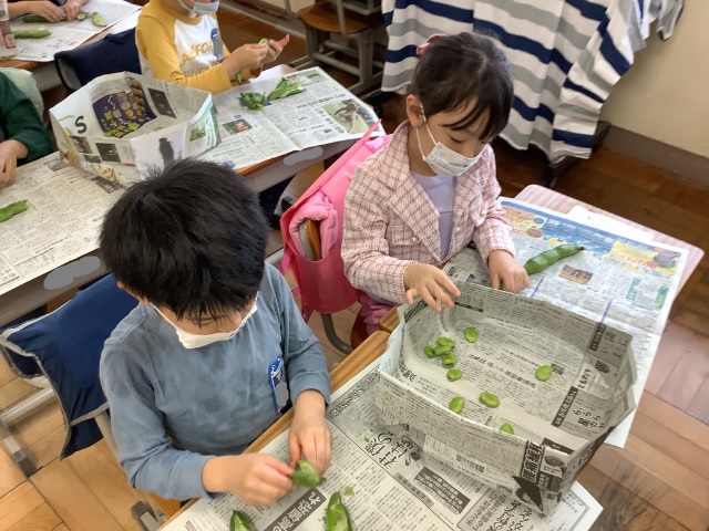 そらまめむき