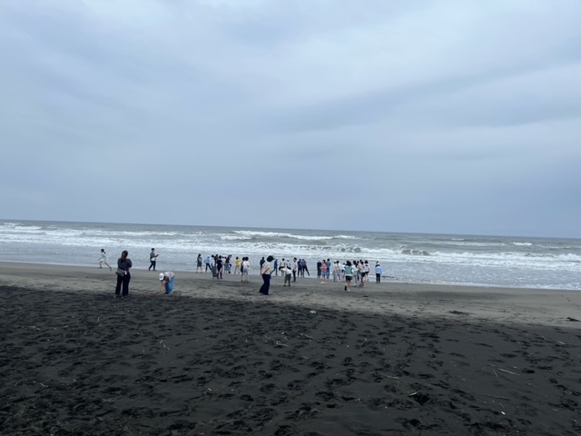 朝の散歩