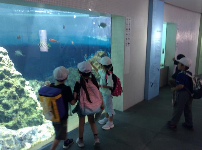 見学の様子