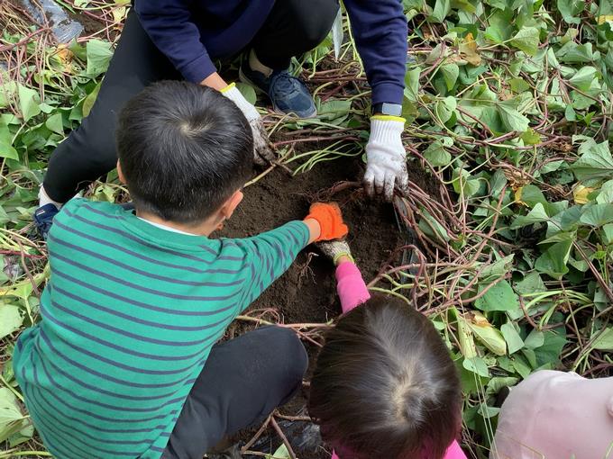 がんばって探しました