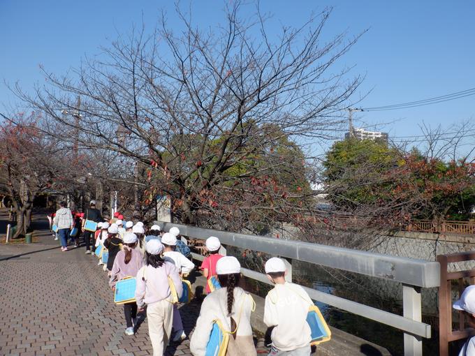 海老川沿い