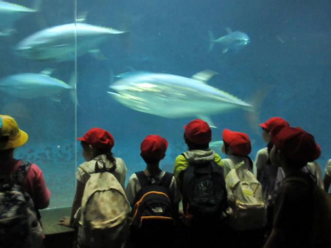 葛西臨海水族園