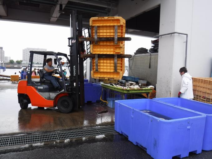 船橋漁港 水揚げの様子