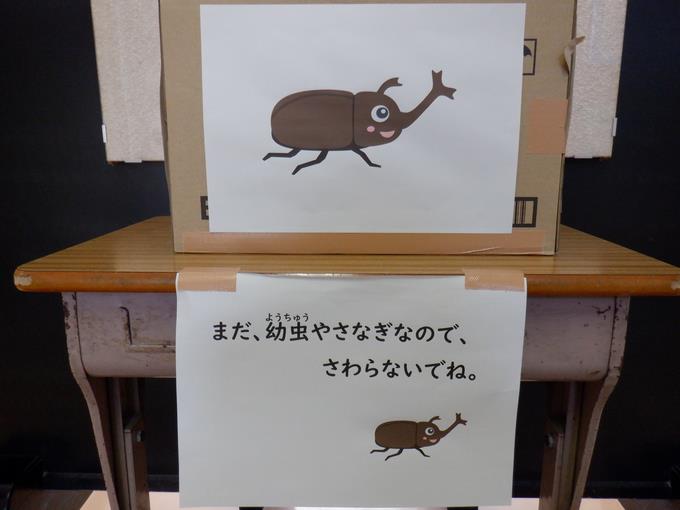 いつもは暗くしていますが、