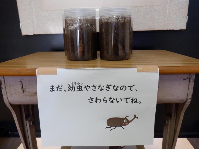 休み時間には見られます。