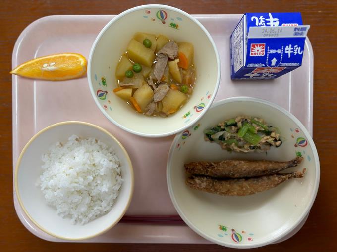 今が旬「夏みかん」